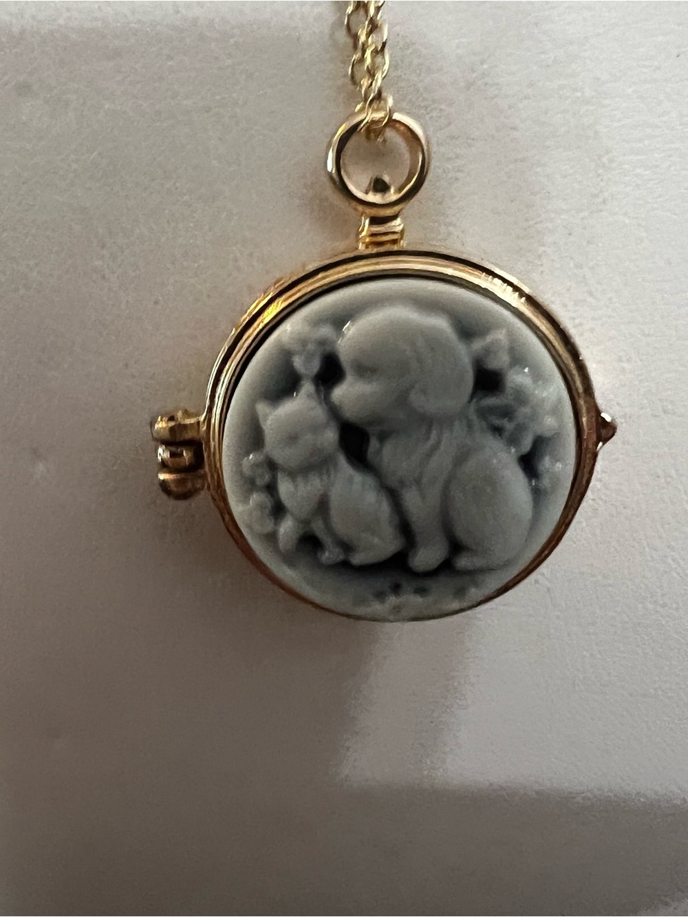 Gold-Tone Pet Cameo Locket Pendant with Dog and Cat Relief